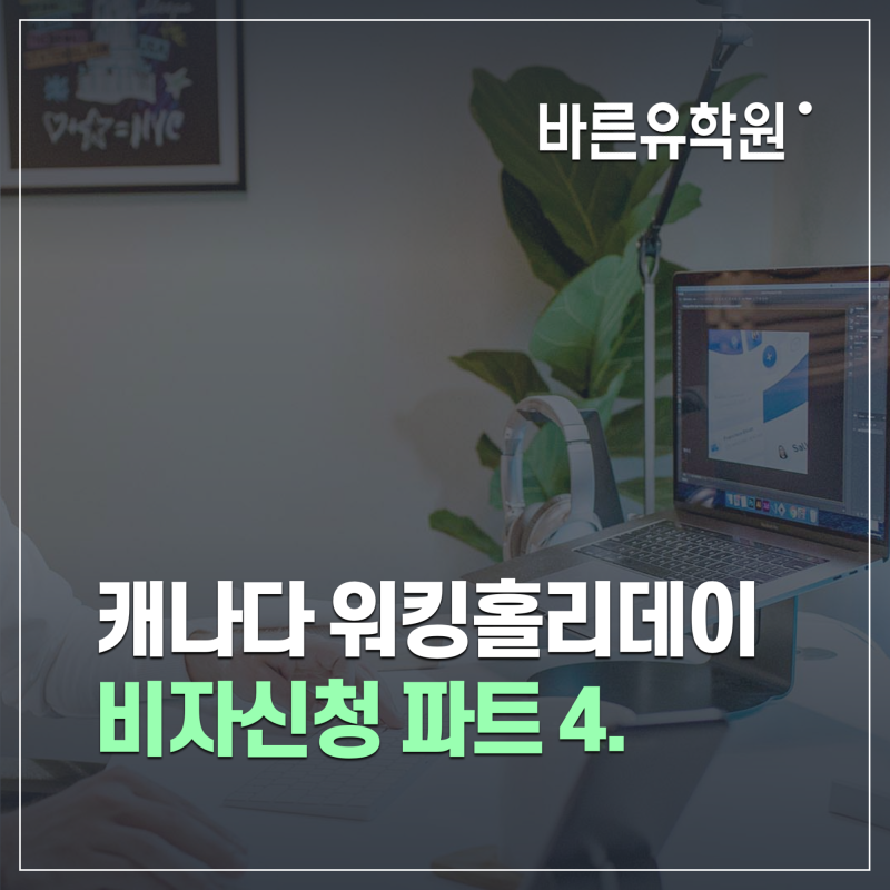 캐나다 워홀비자 신청 eService 파트 4. Application Details