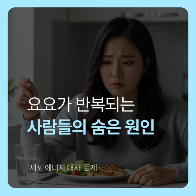  살이 안 빠지는 체질의 공통점, '시르투인 저활성' 때문일 수 있다