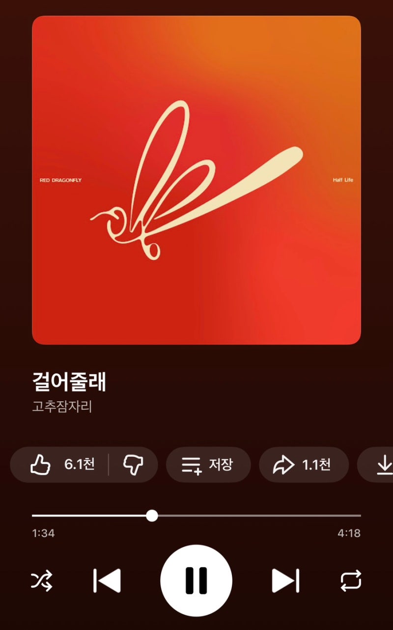 고추잠자리- 걸어줄래