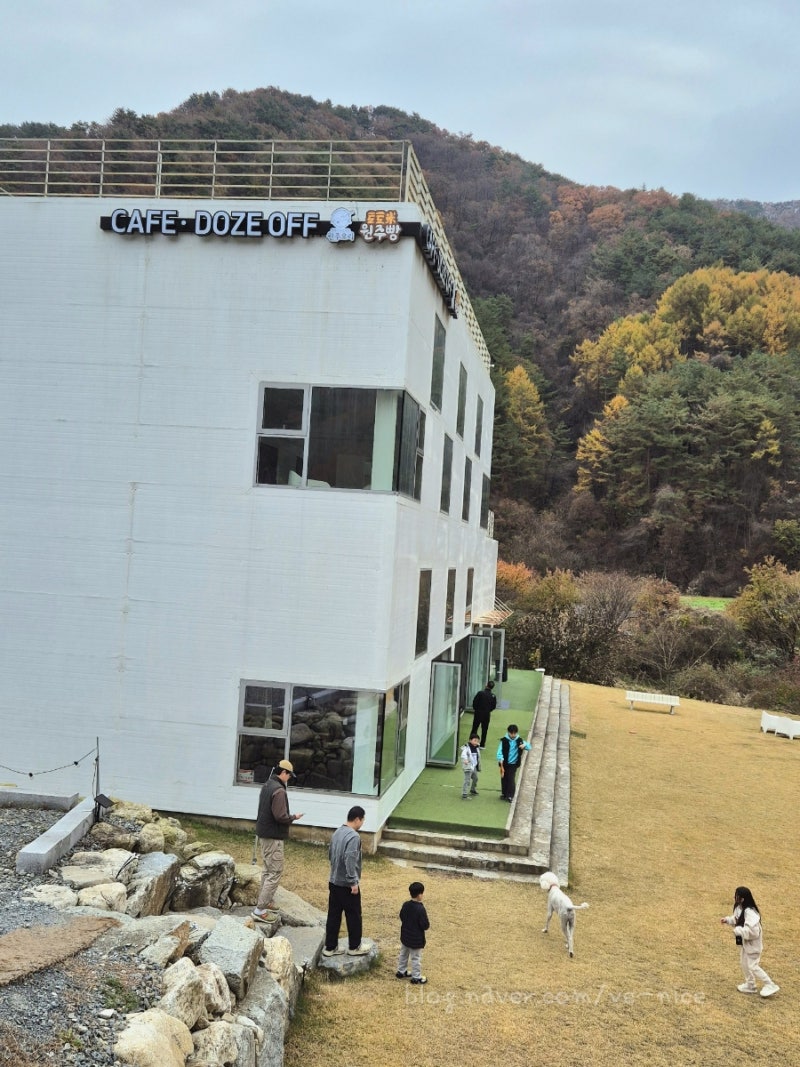 사진 7