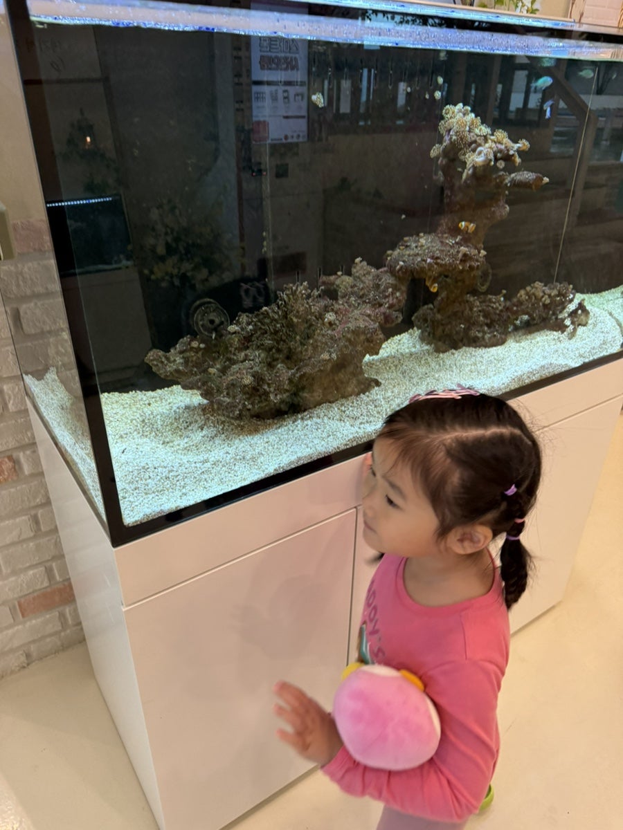 준헤어 사진 6