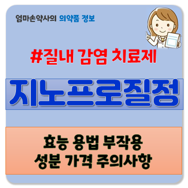 지노프로 지노프로질정 질염 폐경후 에스트로겐 효능 부작용 용법 주의사항 가격