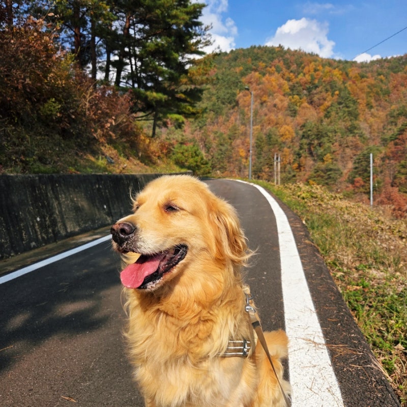 사진 7
