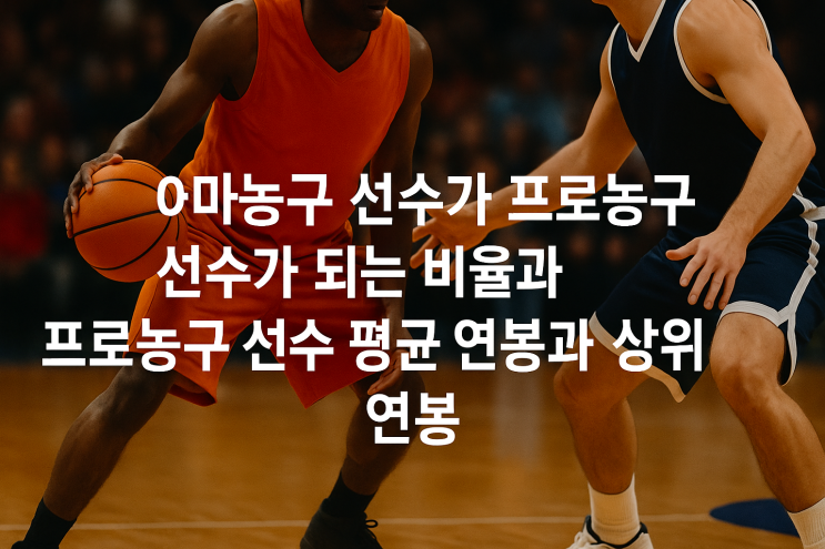  아마농구 선수가 프로농구 선수가 되는 비율과 프로농구 선수 평균 연봉과 상위30% 선수의 연봉