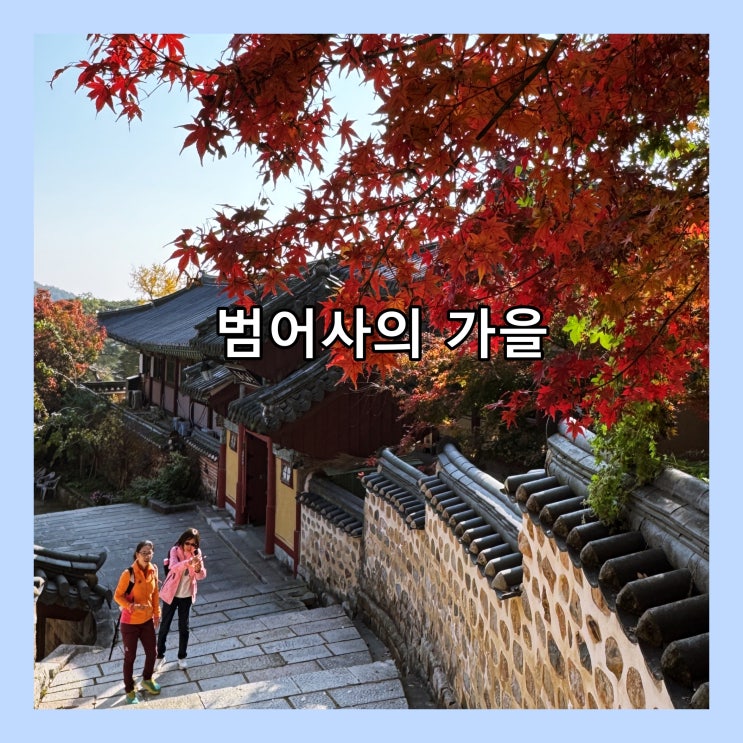  [부산] 가을에 가볼만 한 곳. 금정구 '범어사'의 가을 단풍