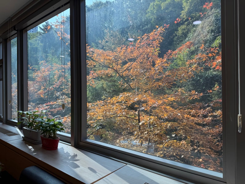 울산대학교병원 건강검진 후기예약 방법·검진 비용·검진 과정까지 정리