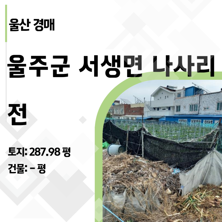  [울산 토지 경매] 9.5억이 4.6억! 서생면 나사리 오션뷰 땅, 놓치면 평생 후회할 기회 (2024타경108172)