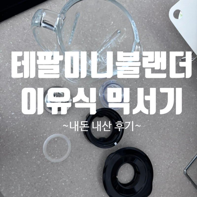 테팔 미니블랜더 유리 소형믹서기 BL1K6E 내돈내산 후기.