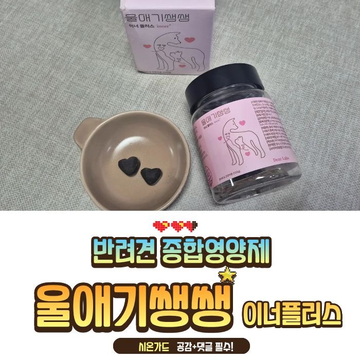 노을이의 건강 비밀! '울애기쌩쌩' 종합영양제 vs 이너플러스 꼼꼼 비교 후기 (기관지염 댕댕....