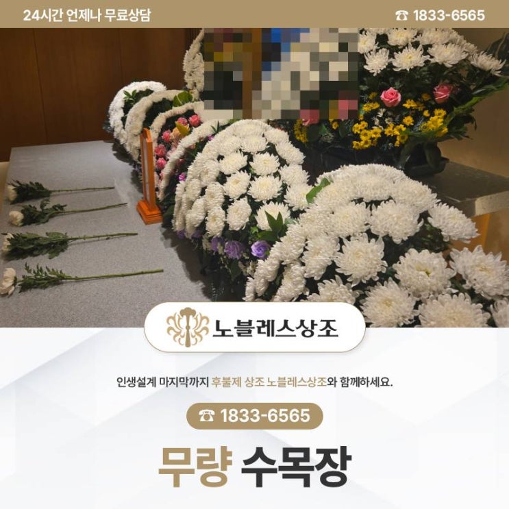  무량 수목장 선택, 후회가 없는 이유