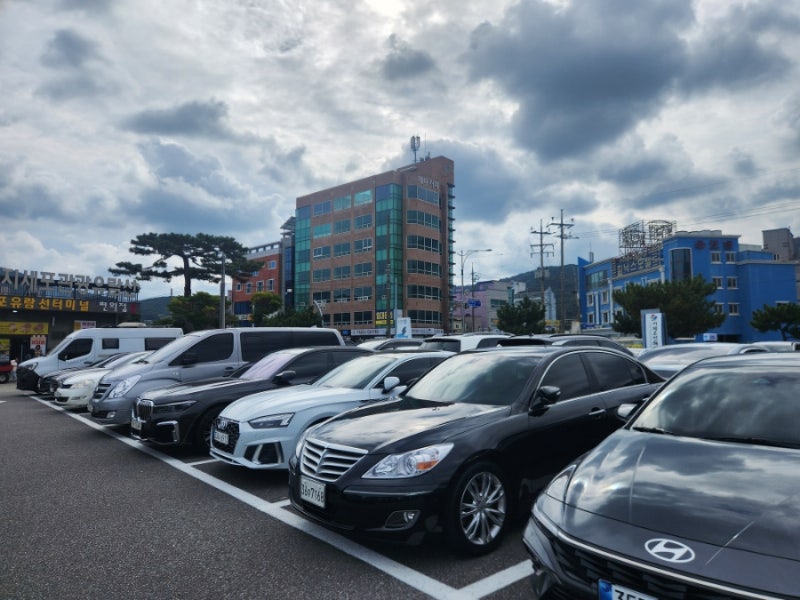 사진 6