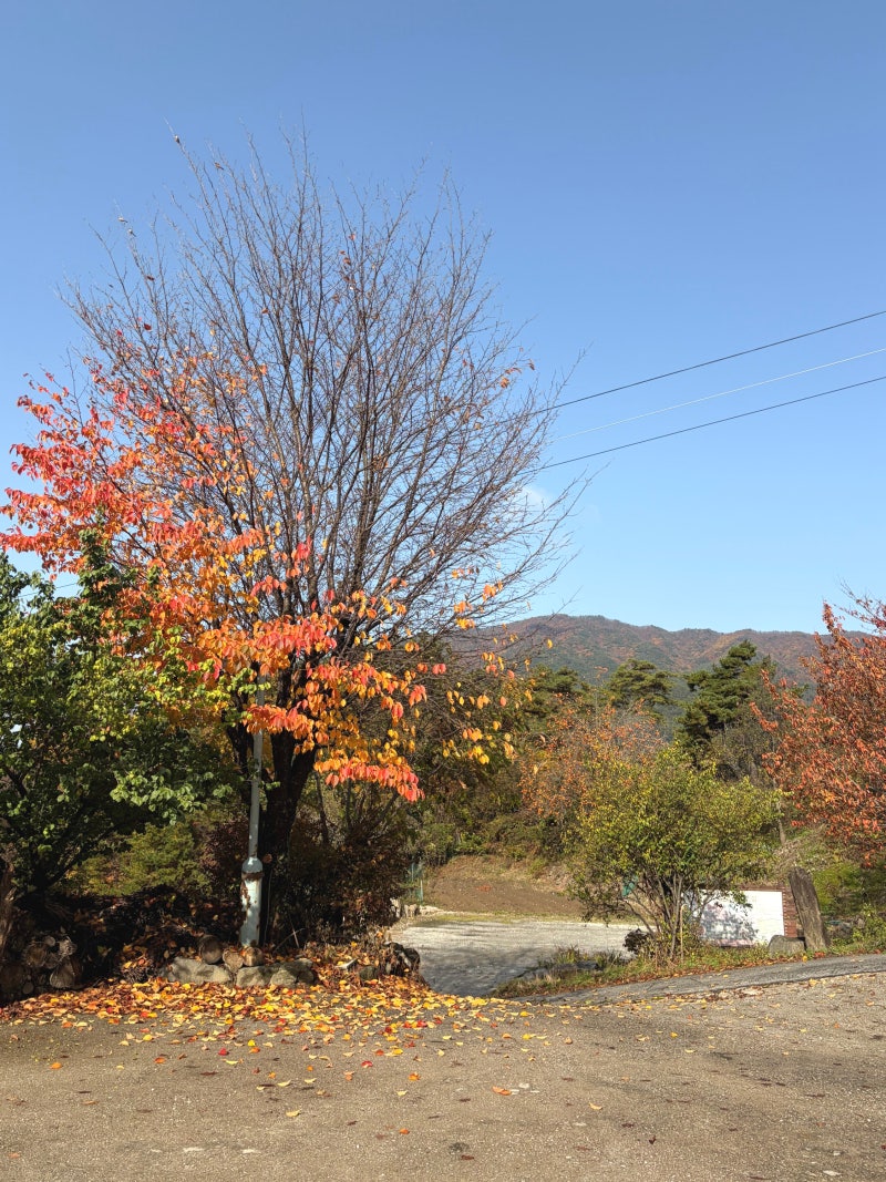 사진 5