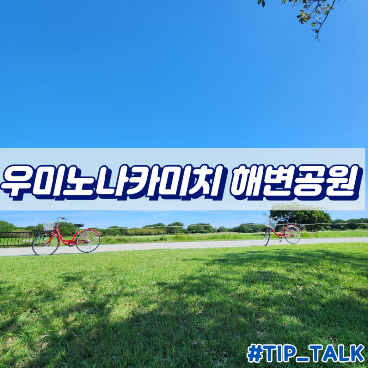  후쿠오카 명소 추천 우미노나카미치 해변공원