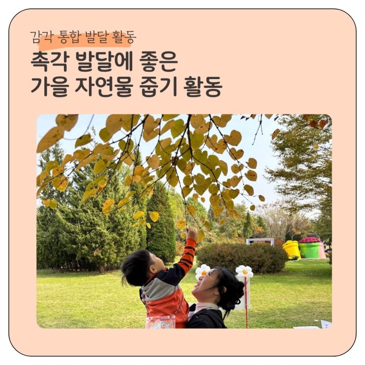  감각통합 촉각 발달에 좋은 울긋불긋 가을 자연물 줍기 활동