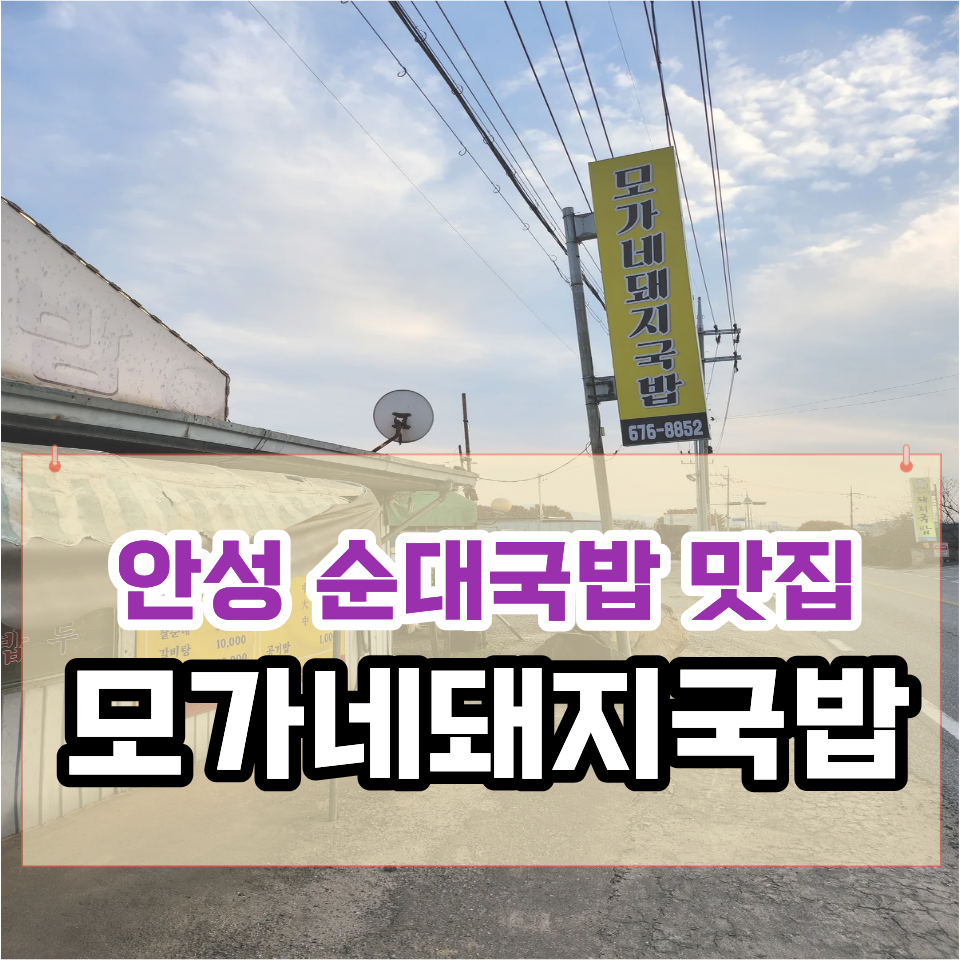 모가네돼지국밥 사진 1