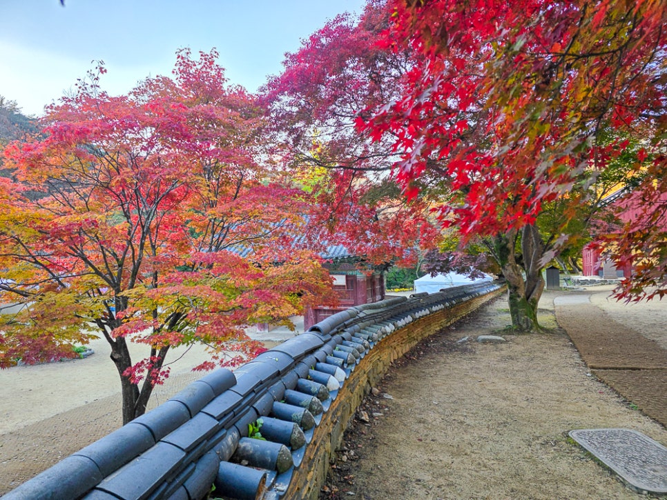 마곡모텔 사진 5