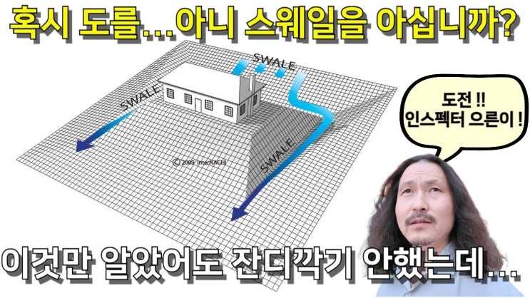  <유튜브>혹시 도를.... 아니, 스웨일을 아십니까? 잔디가 썩고 곰팡이가 피는 이유〈우리 집 체크리스트 ④〉