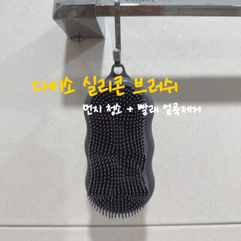 다이소 청소 브러쉬 먼지 반려동물털 제거 활용 효과적
