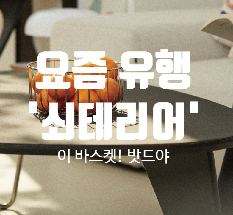 밧드야 우븐 바스켓 후기｜요즘 유행 쇠테리어와 찰떡! 위생과 디자인 다 잡았다