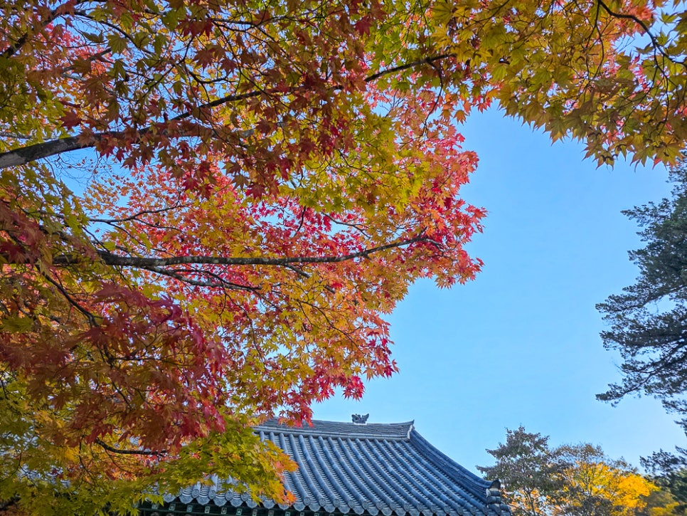 마곡모텔 사진 6