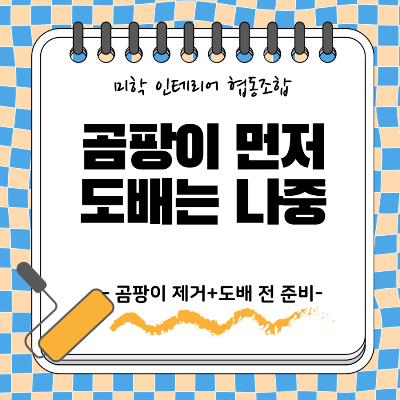 도배지 곰팡이 제거 ㅣ 수원도배 현장 경험으로 정리해 드릴게요