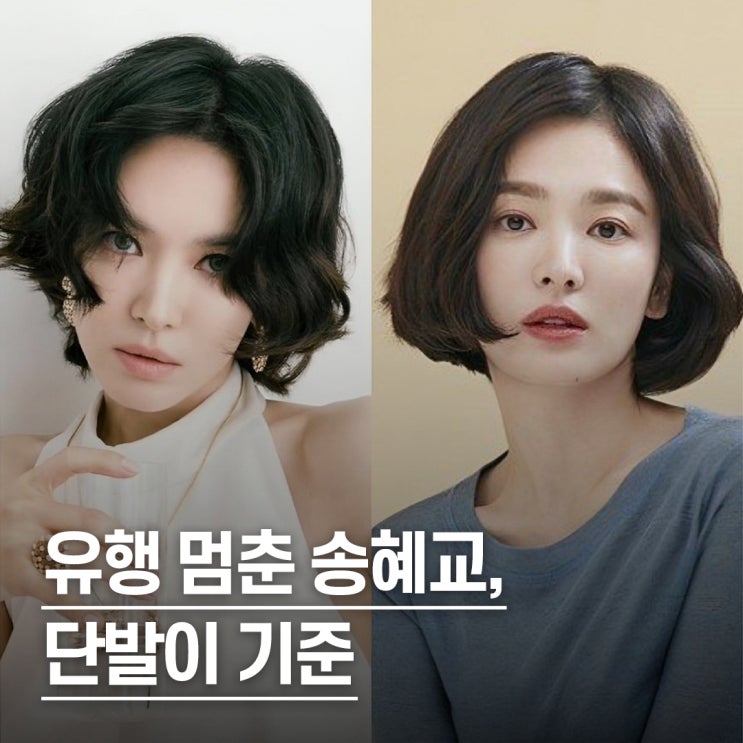  “10년째 유행 안 타는..” 송혜교 단발 헤어 스타일 모음.zip