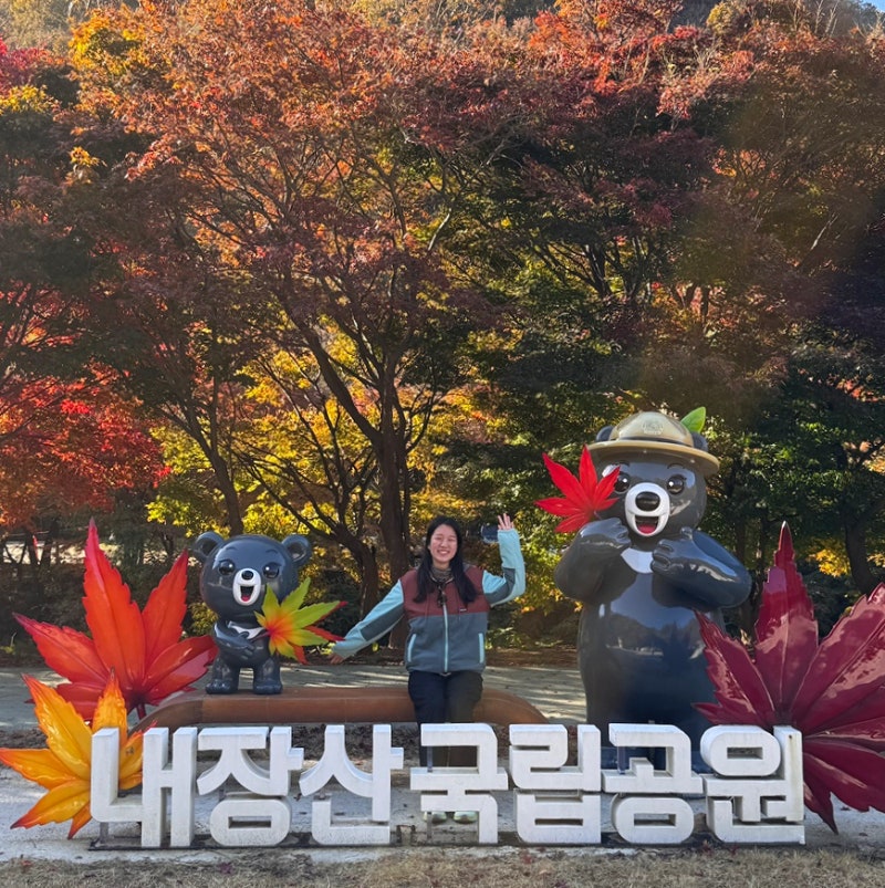 내장산 케이블카 주차장, 소요비용, 코스 등 총정리