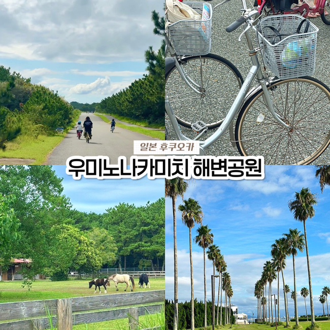  일본 후쿠오카 여행 가볼만한 곳, 우미노나카미치 해변공원 가는 법 자전거 대여 후기