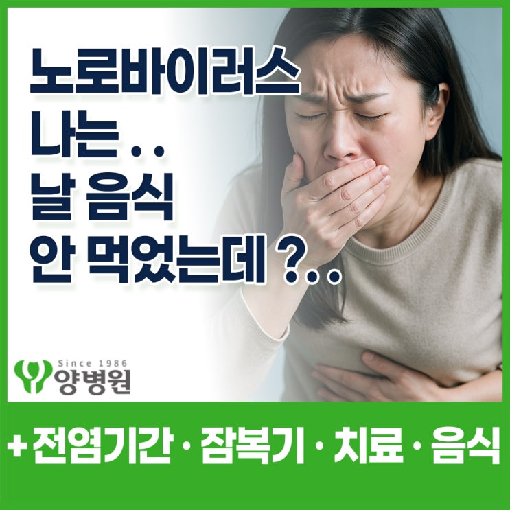  설사와 구토가 갑자기 시작됐어요, 노로바이러스일까요? 전염기간·잠복기·치료까지 한 번에 | 강동역 소화기내과