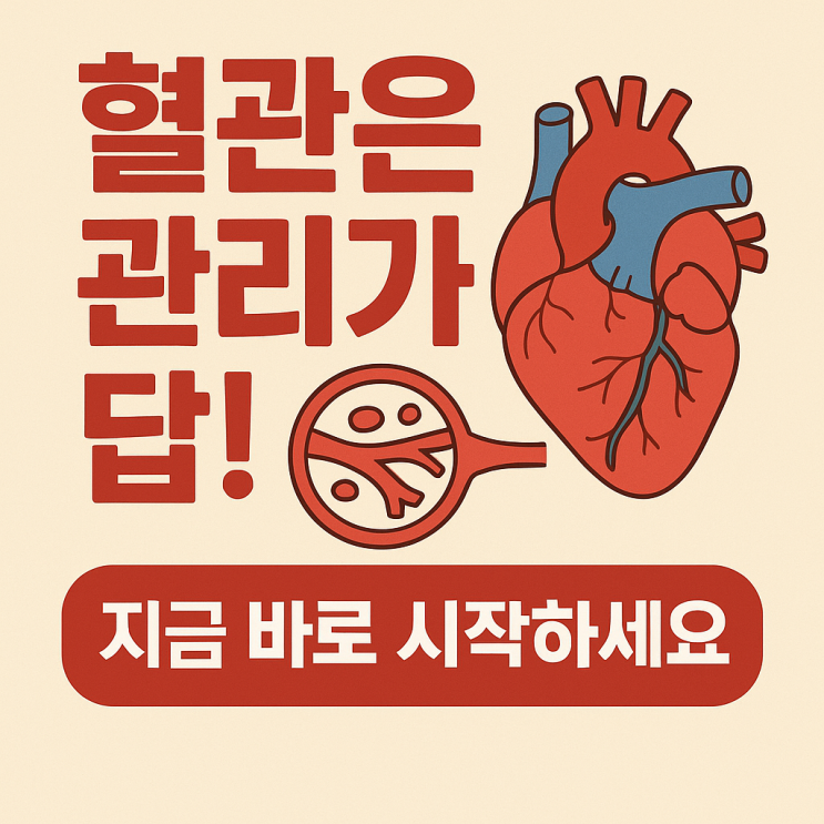  죽상경화증 관리법 총정리｜식습관·운동·생활습관까지 한 번에 잡는 방법
