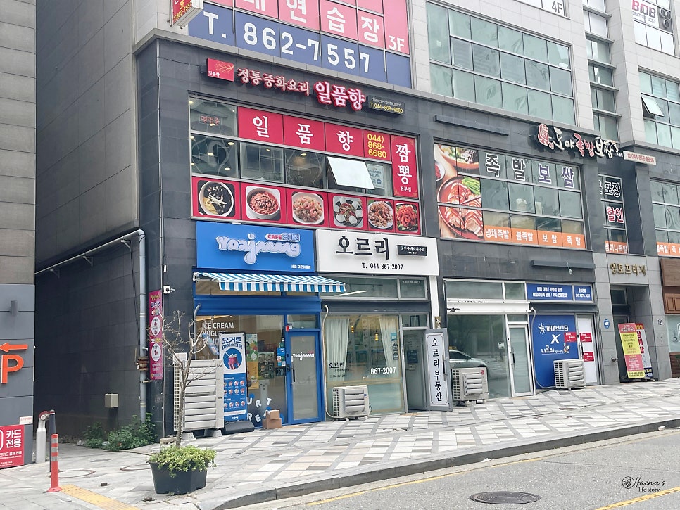 일품향 사진 2