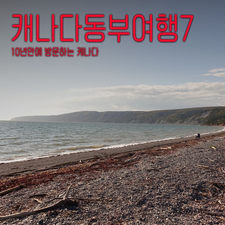  캐나다 동부 여행 | 노바스코시아 펀디 만 인생 뷰를 만난 곳, 케이프 시그넥토 트레킹 -캐나다동부여행기-7