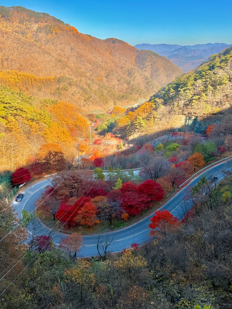 사진 2