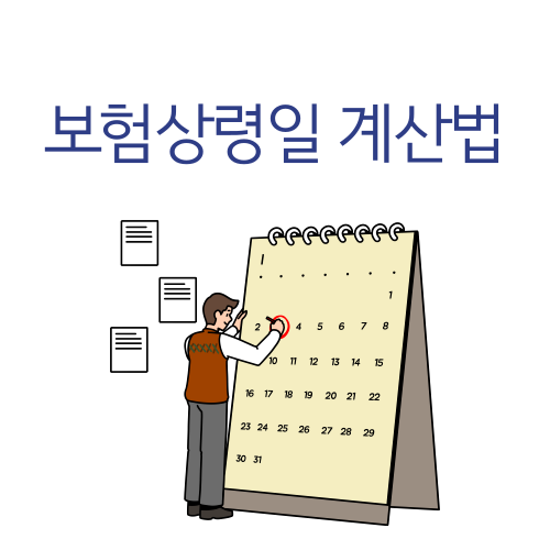 보험 나이(상령일)계산하는 방법