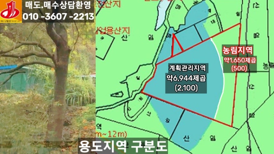 연기향 사진 4