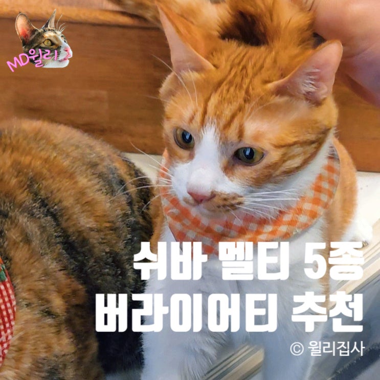  쉬바 멜티 5종 버라이어티 신제품 고양이 간식 츄르 추천