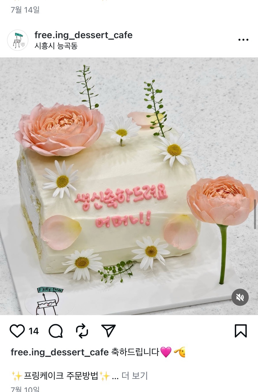프링 사진 1