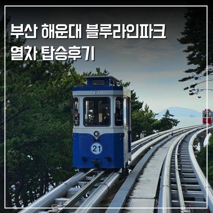  부산 해운대 블루라인파크 예약 해변열차 스카이캡슐 패키지 후기