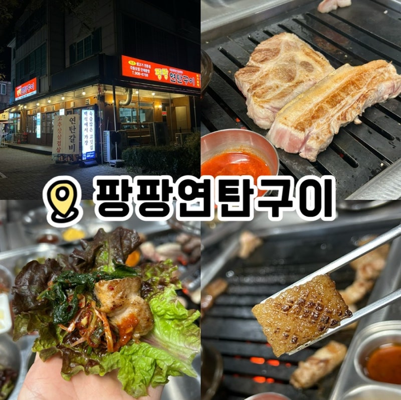 사진 5
