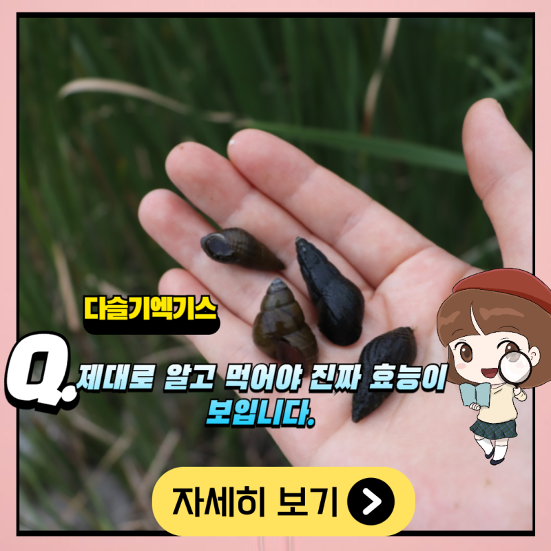 다슬기액기스 효능 부작용 보관법 아시나요?