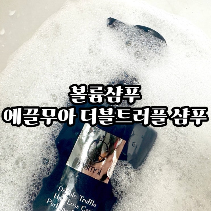  볼륨샴푸 추천 탄력두피 케어 에끌무아 탈모샴푸 후기