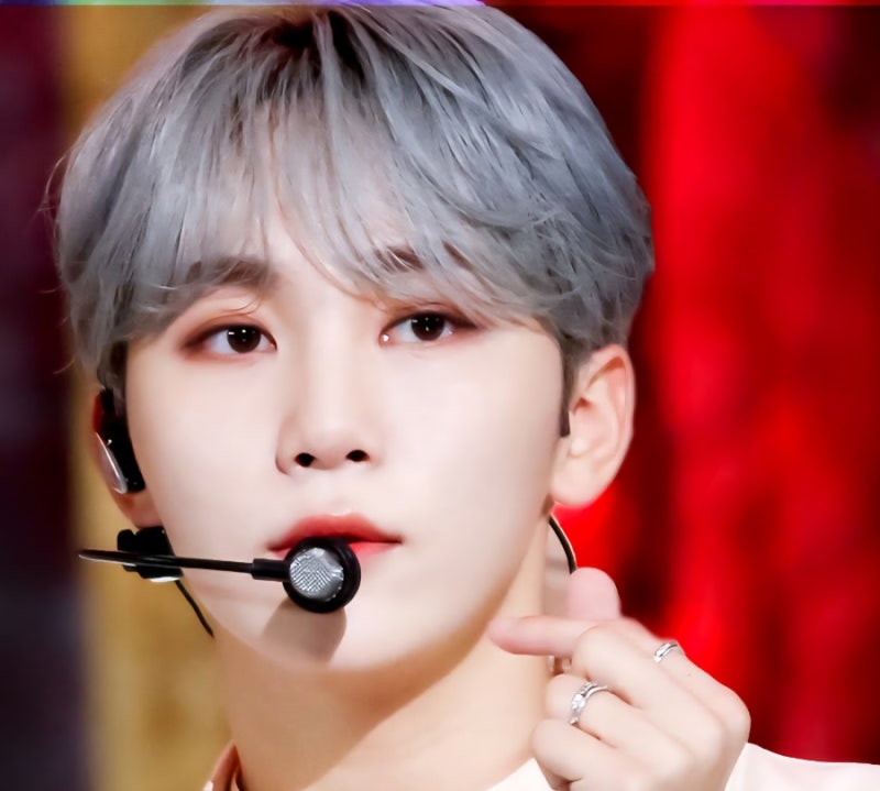 SEVENTEEN 勝寛：從獨特感性主唱到全能藝人！年齡、身高、Instagram 等個人資料總整理