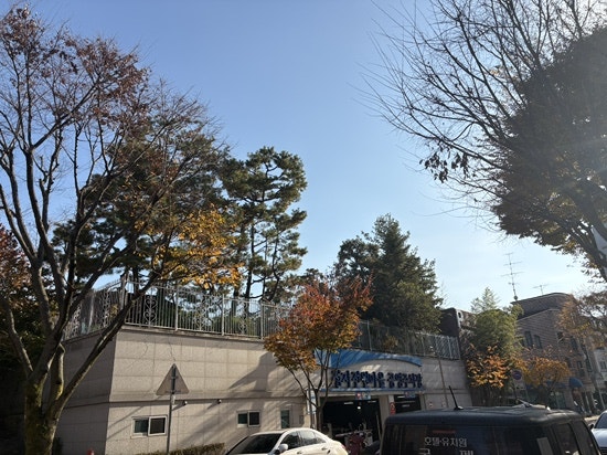 율리도예 사진 1