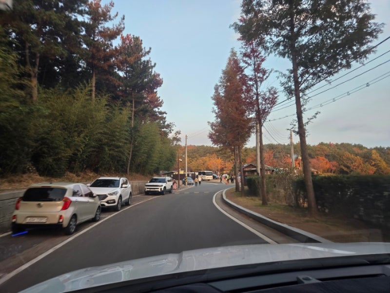 황방산생태야영장