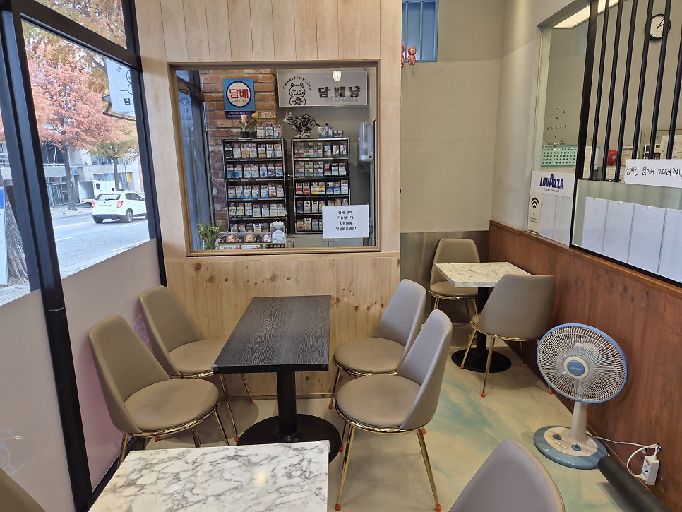 커피냥 사진 4