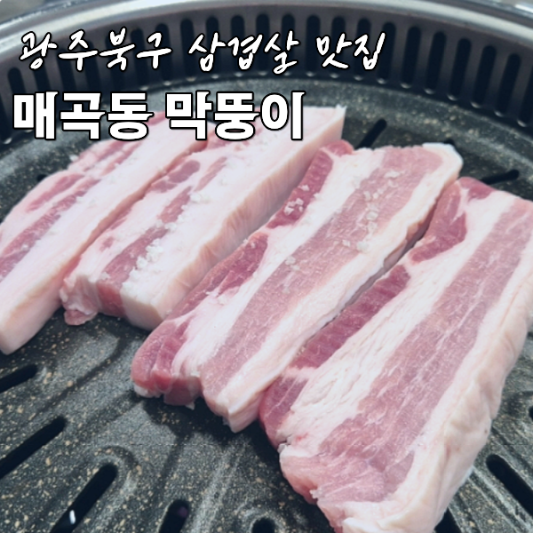 막뚱이 사진 1