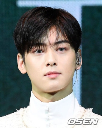 차은우 사주