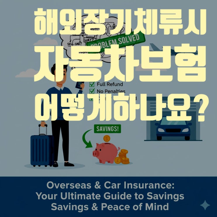  유학생, 주재원 필독! 해외 출국 전 자동차보험 관리 A to Z (운행 일시정지, 해지, 과태료 완벽 가이드)