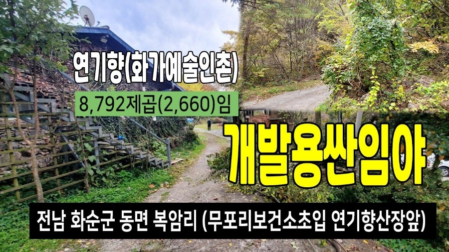 연기향 사진 1