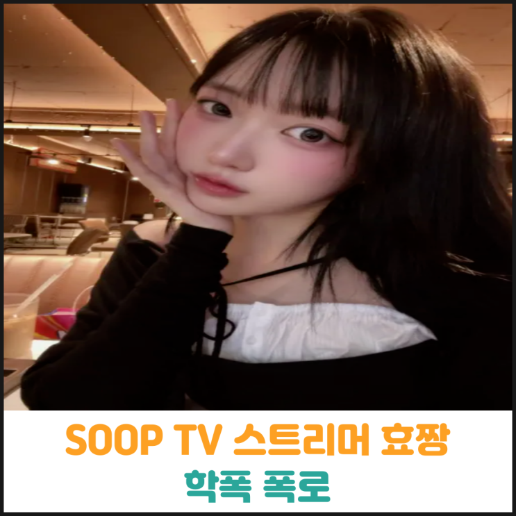  SOOP TV 스트리머 효짱 학폭 폭로
